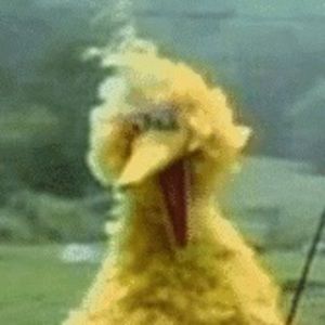 Meet your Posher, Diego